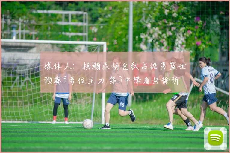 媒体人：杨瀚森胡金秋占据男篮世预赛5号位主力 第3中锋看好徐昕