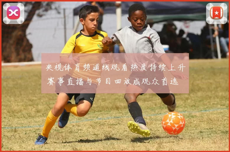 央视体育频道线观看热度持续上升 赛事直播与节目回放成观众首选