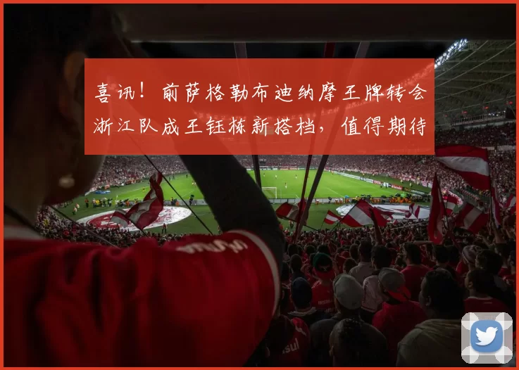 喜讯！前萨格勒布迪纳摩王牌转会浙江队成王钰栋新搭档，值得期待