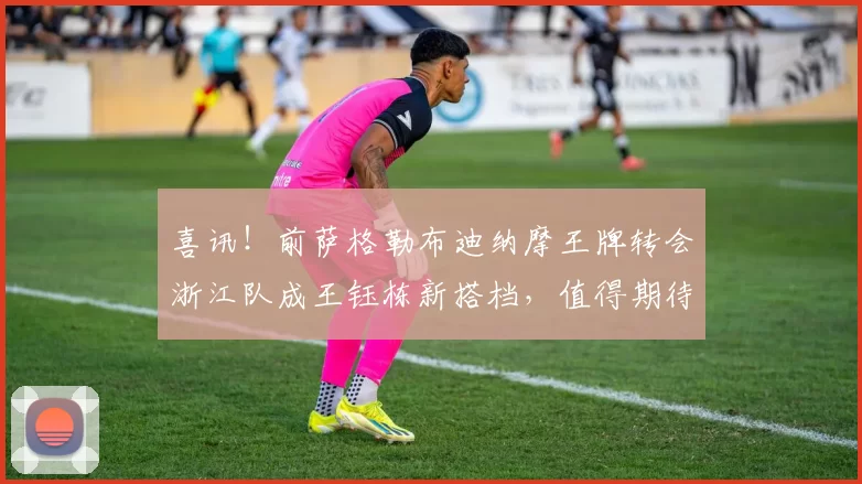 喜讯！前萨格勒布迪纳摩王牌转会浙江队成王钰栋新搭档，值得期待